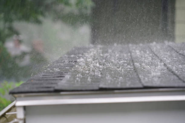 Best Metal Roofing Installation  in Huntington Woods, MI