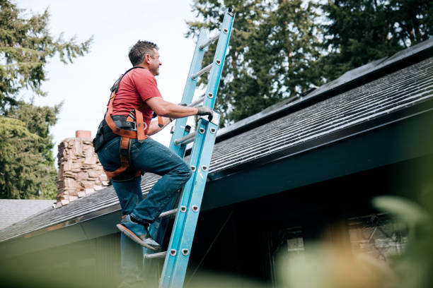 Best Roof Leak Repair  in Huntington Woods, MI